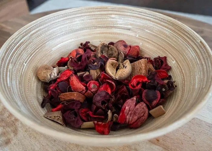 Le Distingué Appartamento Reims